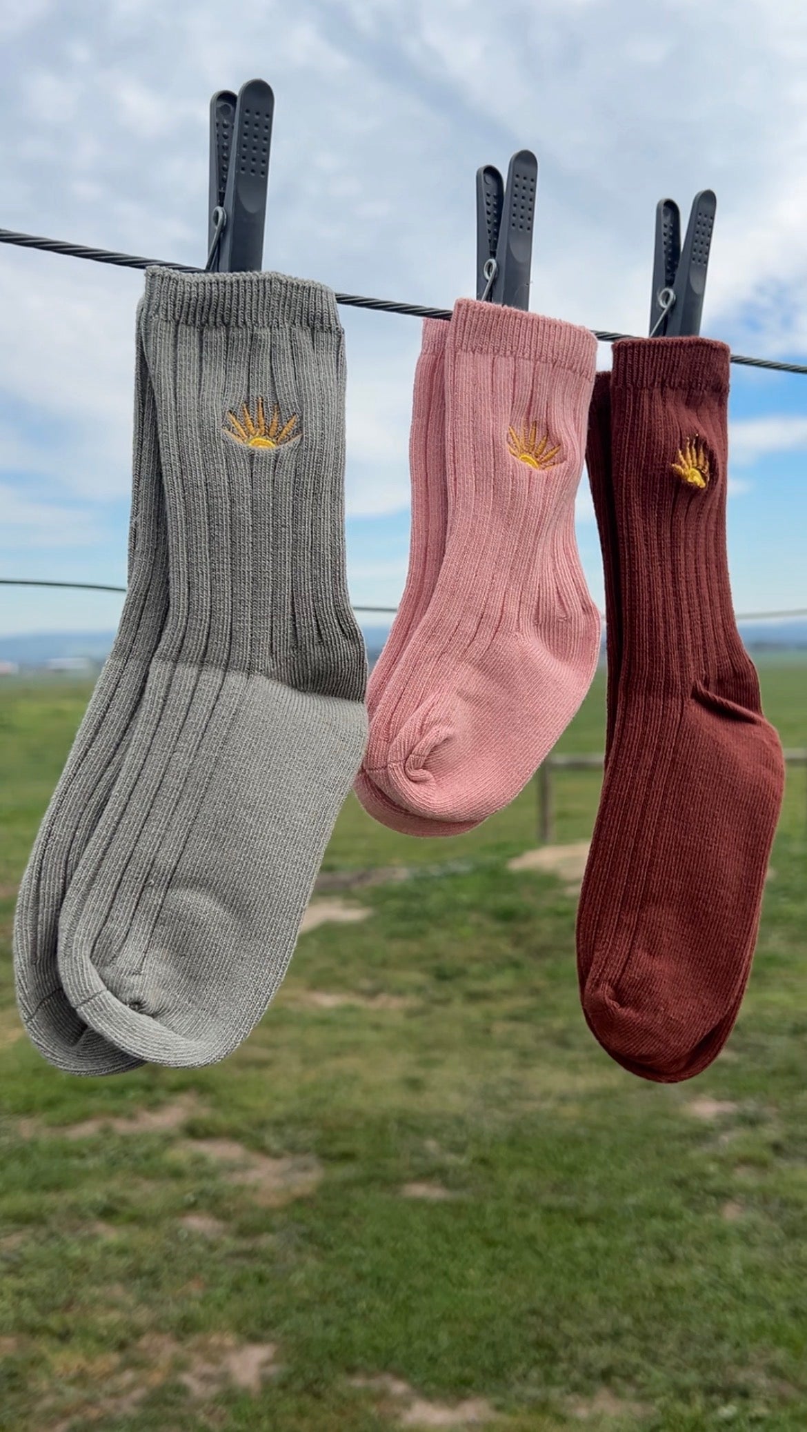 Golden Acre kids socks