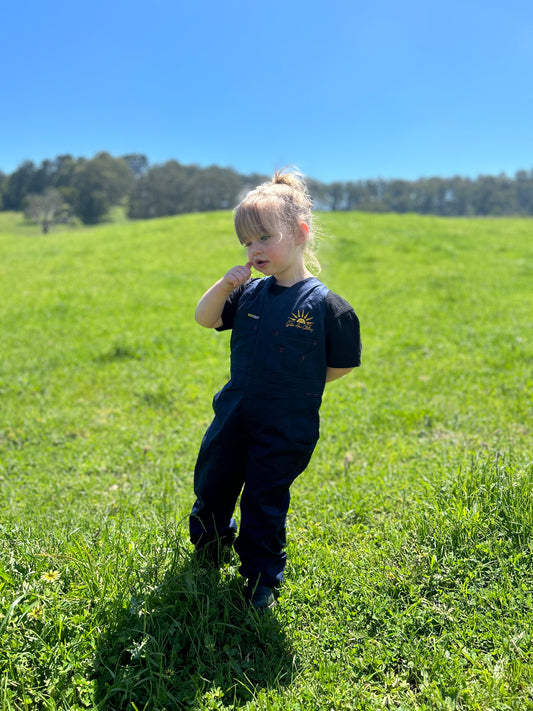 Golden acre work overalls