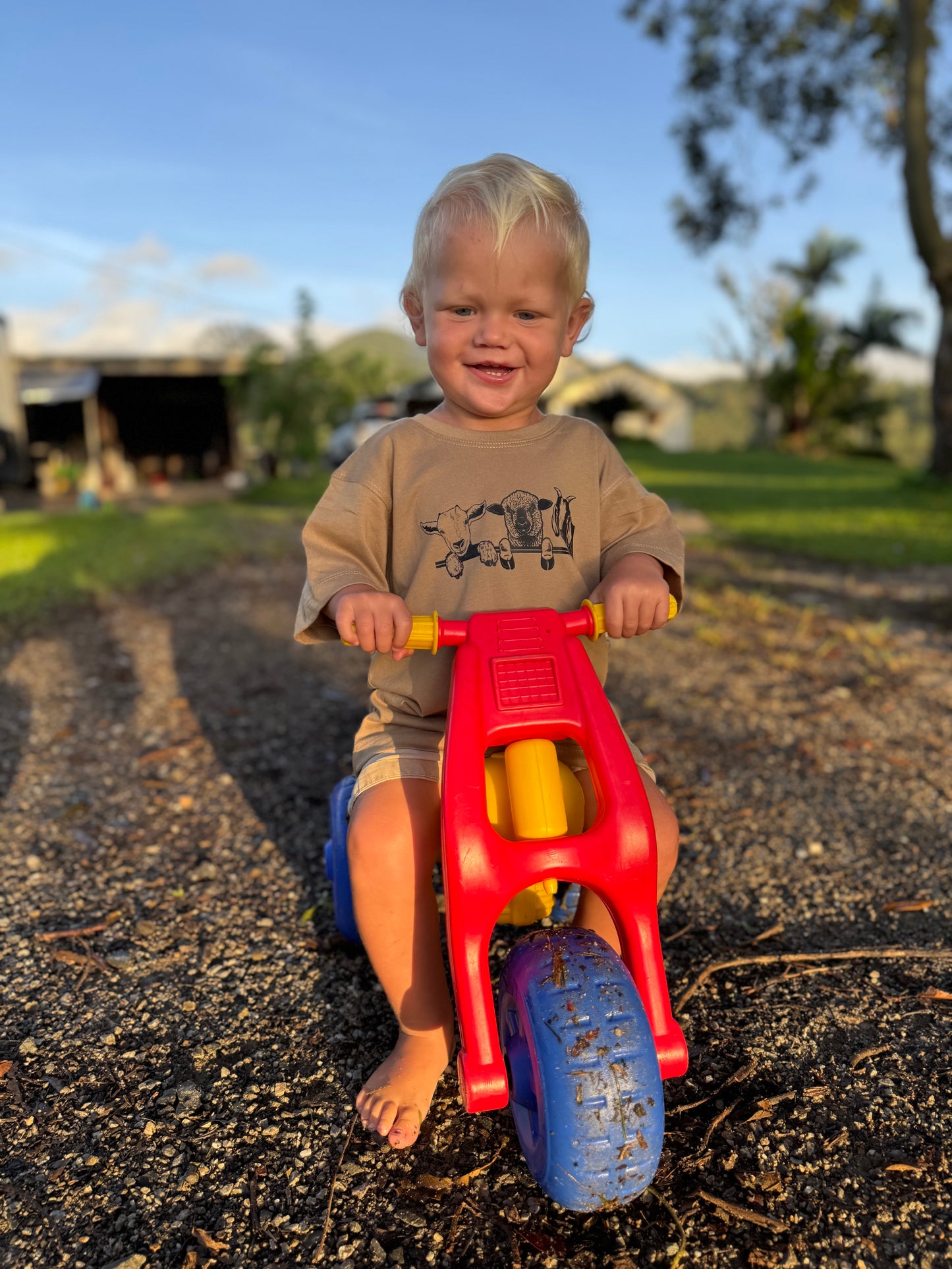Barnyard Buddies T-shirt
