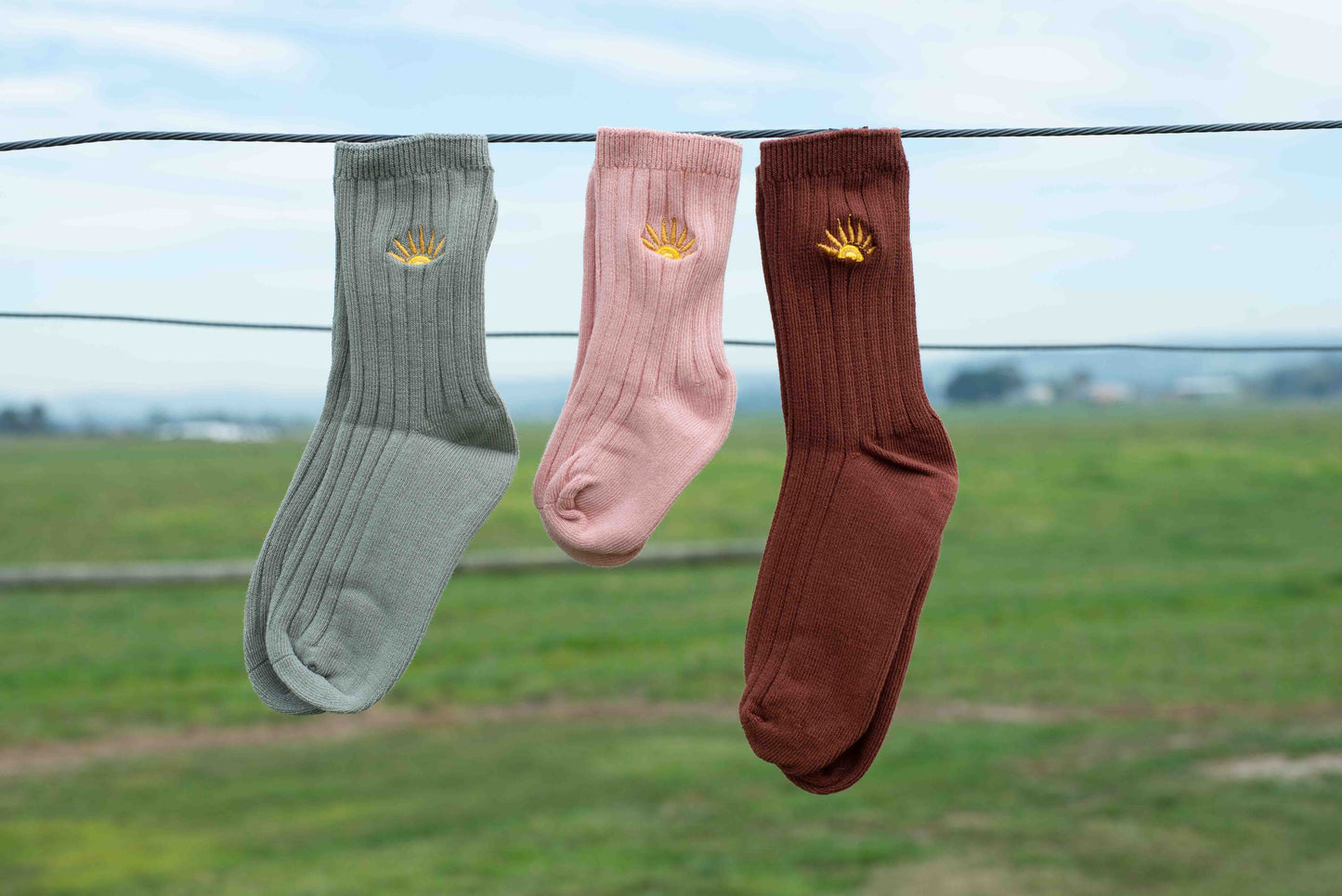 Golden Acre kids socks