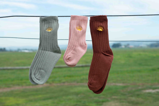 Golden Acre kids socks