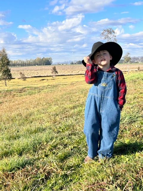 Ollie denim overalls