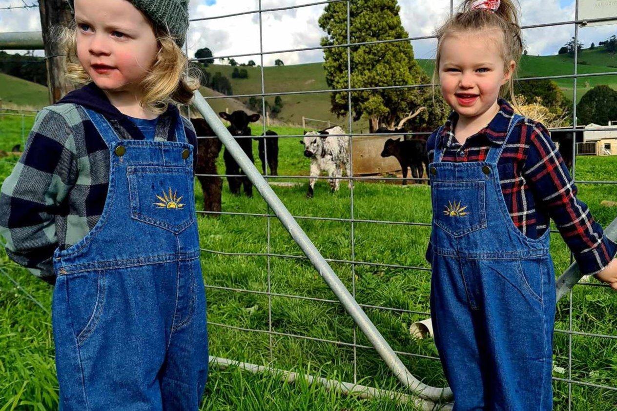 Ollie denim overalls